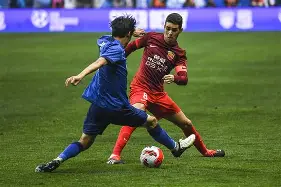 c7娱乐-申花客场被反超，最后时刻惜败对手