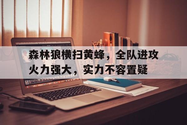 c7娱乐官方网站-森林狼横扫黄蜂，全队进攻火力强大，实力不容置疑的简单介绍