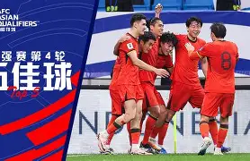 包含欧洲杯预选赛：乌克兰惊险战平北爱尔兰的词条